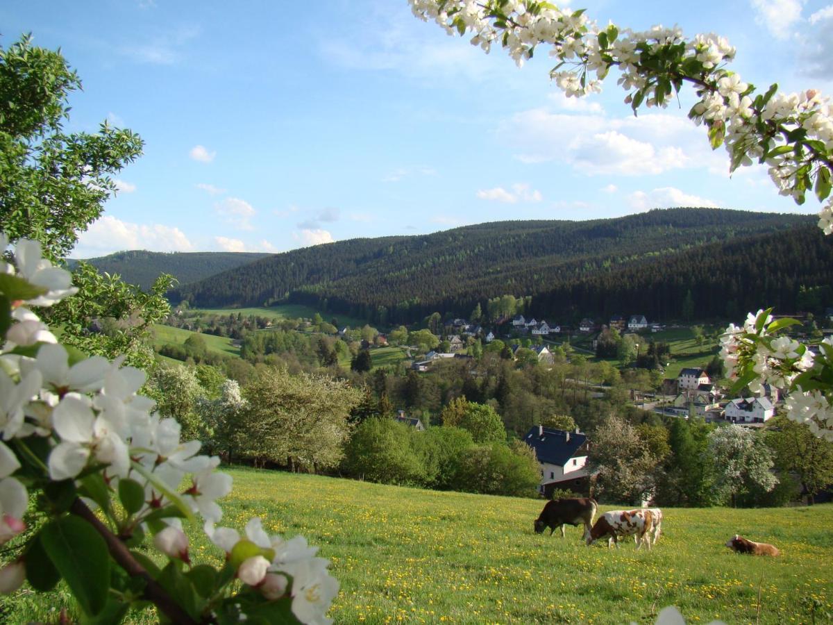Ferienwohnung Lang Breitenbrunn  Zewnętrze zdjęcie